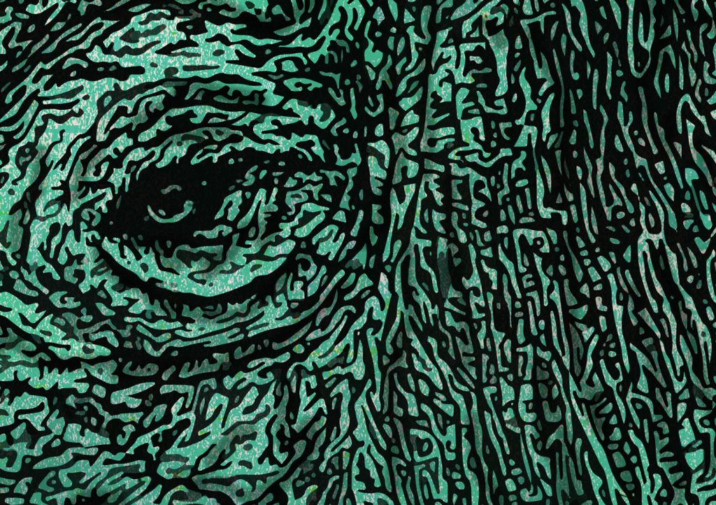 Hand-drawn colourful illustration of a rhinoceros for Irish musician Lasertom's music EP release 'Super Saor" 2018 using pen and pencil by Berlin-based artist and illustrator John Rooney